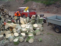 10th July 2008 001